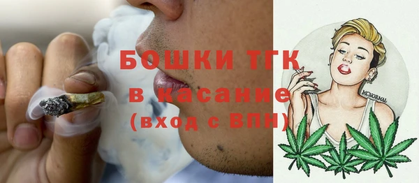 дживик Белокуриха