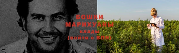 дживик Белокуриха
